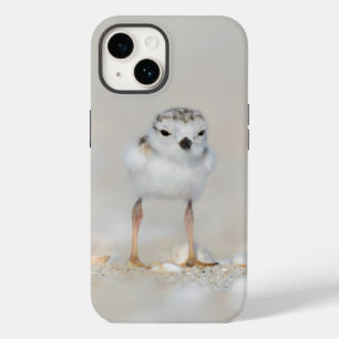 Cutest Baby djur Piplover-Chick