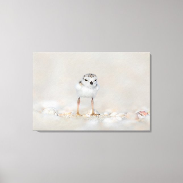 Cutest Baby djur | Piplover-Chick Canvastryck (Framsida)