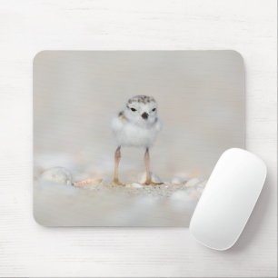 Cutest Baby djur Piplover-Chick Musmatta