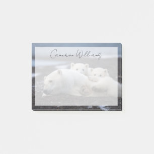 Cutest Baby djur Polar Bear Family Alaska Post-it Block