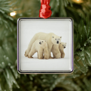 Cutest Baby djur Polar Bear Family Julgransprydnad Metall