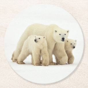 Cutest Baby djur Polar Bear Family Underlägg Papper Rund