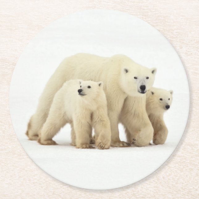 Cutest Baby djur | Polar Bear Family Underlägg Papper Rund (Framsidan)