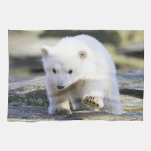 Cutest Baby djur Polar Björn Baby Kökshandduk