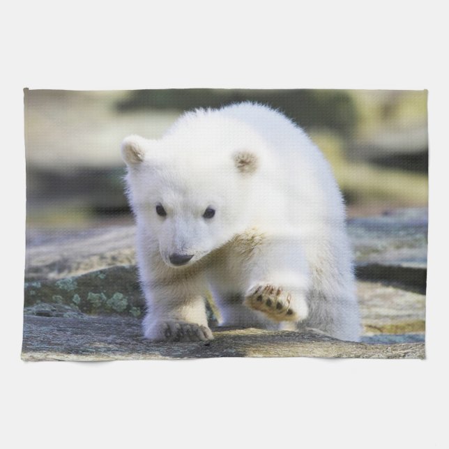 Cutest Baby djur | Polar Björn Baby Kökshandduk (Horisontell)