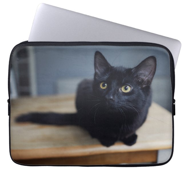 Cutest Baby djur | Porträtt i en svart katt Laptop Fodral (Framsidan)