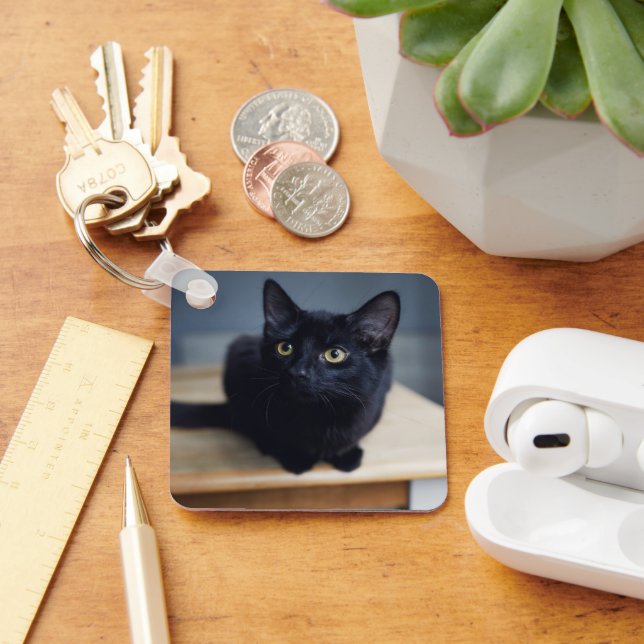 Cutest Baby djur | Porträtt i en svart katt Nyckelring (Skrivbord)