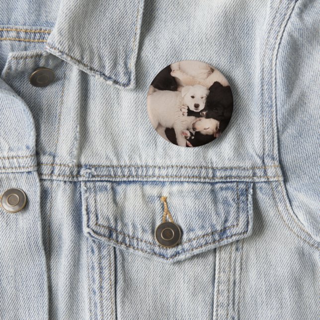 Cutest Baby djur | Pungor Knapp (In Situ)