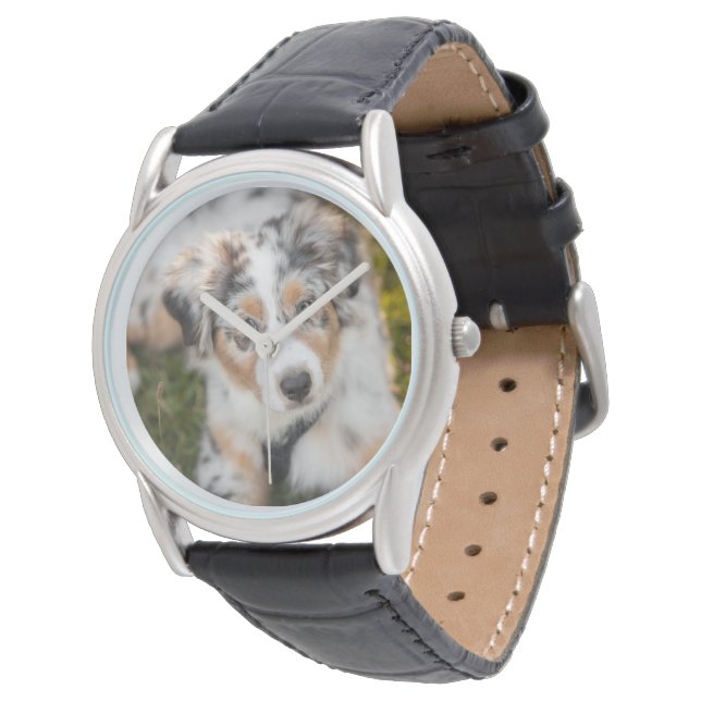 Cutest Baby djur | Puppy Australian shepherd Armbandsur (Vinklad)