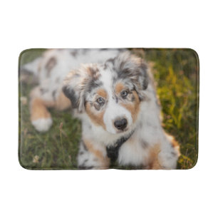 Cutest Baby djur   Puppy Australian shepherd Badrumsmatta