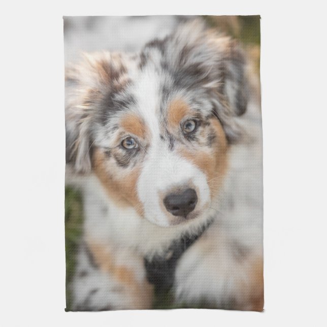 Cutest Baby djur | Puppy Australian shepherd Kökshandduk (Vertikal)