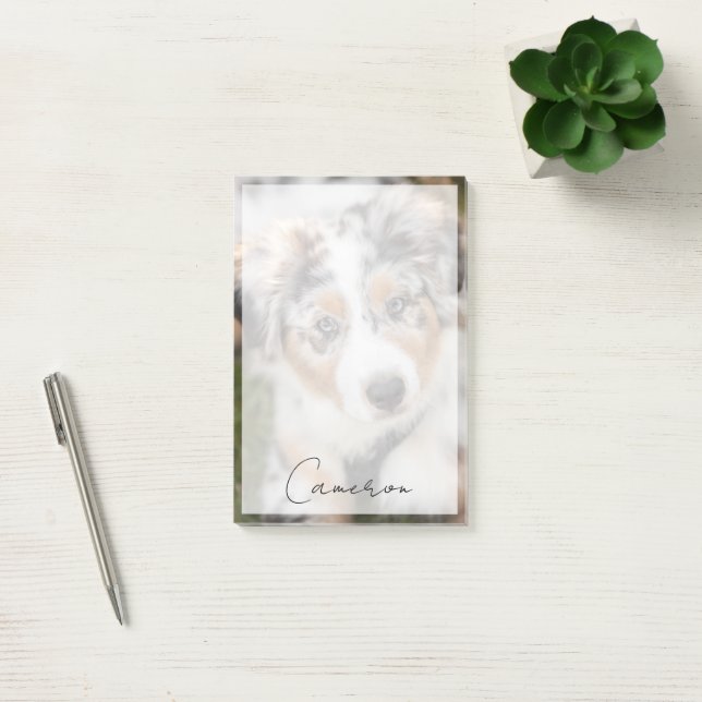 Cutest Baby djur | Puppy Australian shepherd Post-it Block (Kontor)