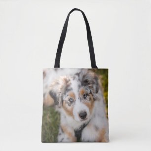 Cutest Baby djur   Puppy Australian shepherd Tygkasse