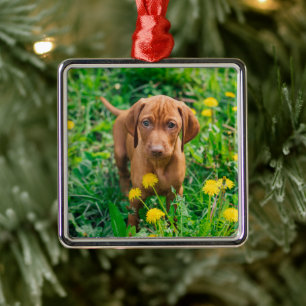 Cutest Baby djur Puppy-pekare Julgransprydnad Metall
