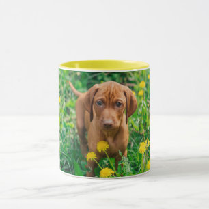 Cutest Baby djur Puppy-pekare Mugg