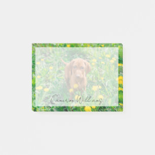 Cutest Baby djur Puppy-pekare Post-it Block