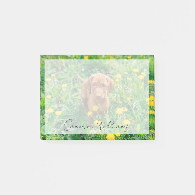 Cutest Baby djur | Puppy-pekare Post-it Block (Framsida)