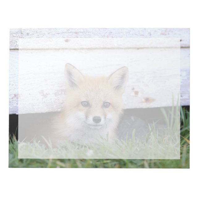 Cutest Baby djur | Red Fox Kit Peeking Anteckningsblock (Framsida)