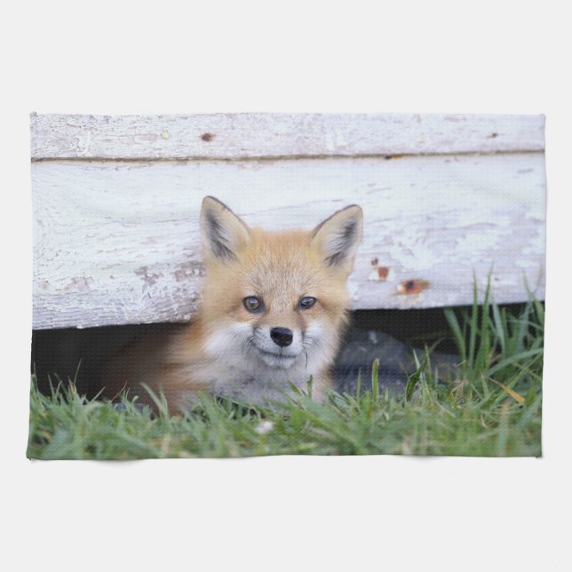 Cutest Baby djur | Red Fox Kit Peeking Kökshandduk (Horisontell)