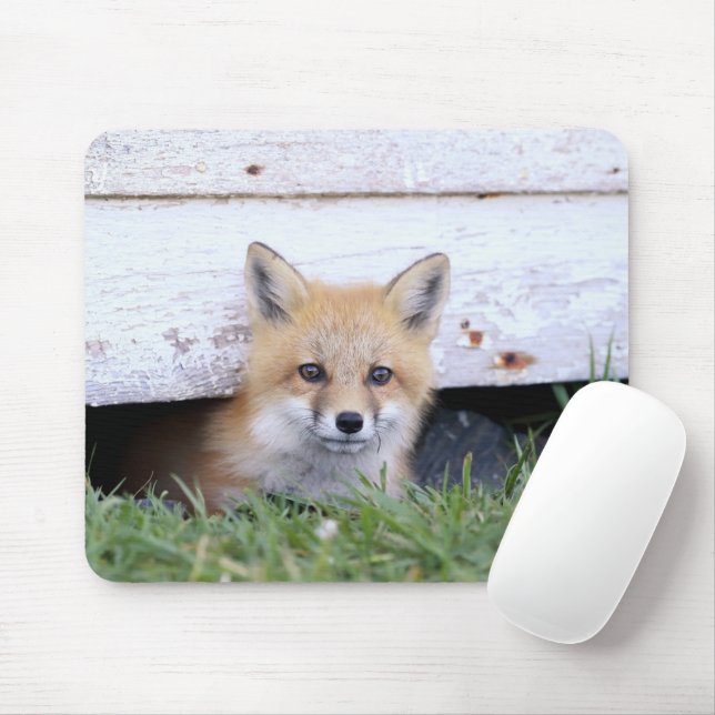 Cutest Baby djur | Red Fox Kit Peeking Musmatta (Med mus)