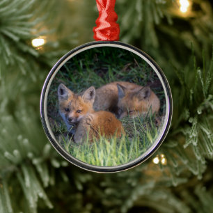 Cutest Baby djur   Red Fox Kit Syskon Julgransprydnad Metall