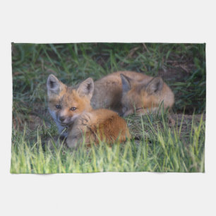 Cutest Baby djur Red Fox Kit Syskon Kökshandduk
