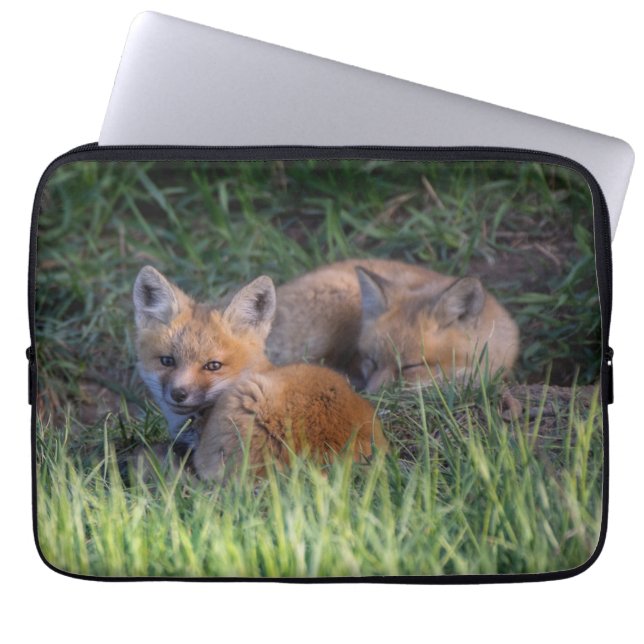 Cutest Baby djur | Red Fox Kit Syskon Laptop Fodral (Framsidan)
