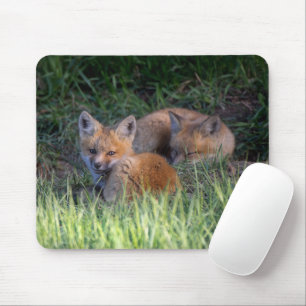 Cutest Baby djur Red Fox Kit Syskon Musmatta