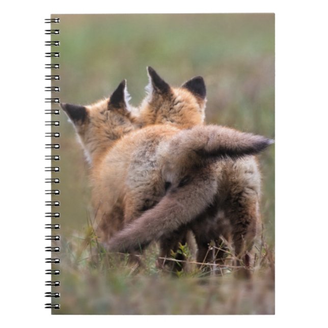 Cutest Baby djur | Red Fox Kits Locking Svan Anteckningsbok (Framsidan)