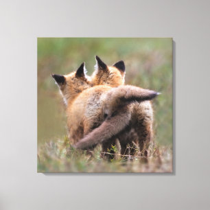 Cutest Baby djur Red Fox Kits Locking Svan Canvastryck