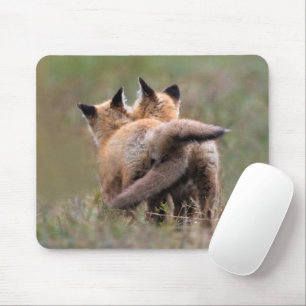 Cutest Baby djur Red Fox Kits Locking Svan Musmatta