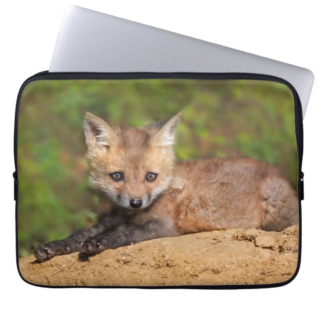 Cutest Baby djur | Red Fox-Valp Laptop Fodral (Framsidan)