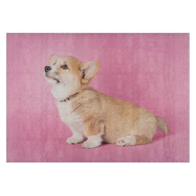 Cutest Baby djur | Rosa Corgi Puppy (Framsidan)