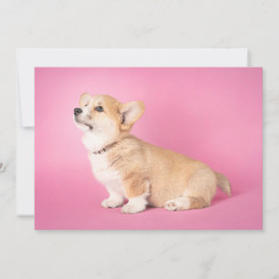 Cutest Baby djur Rosa Corgi Puppy Tack Kort