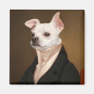 Cutest Baby djur Royal Chihuahua Porträtt Magnet