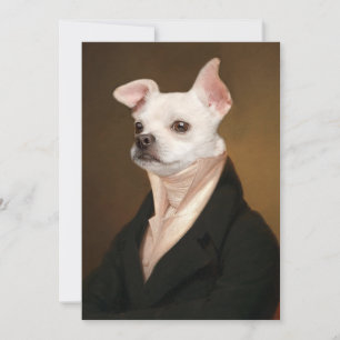 Cutest Baby djur Royal Chihuahua Porträtt Tack Kort
