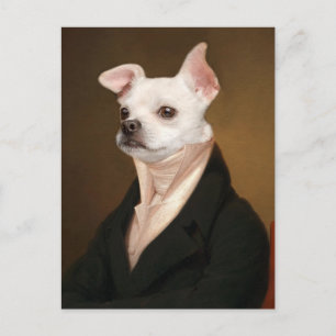 Cutest Baby djur Royal Chihuahua Porträtt Vykort