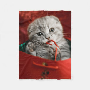 Cutest Baby djur   Scottish Fold Kitten Fleecefilt