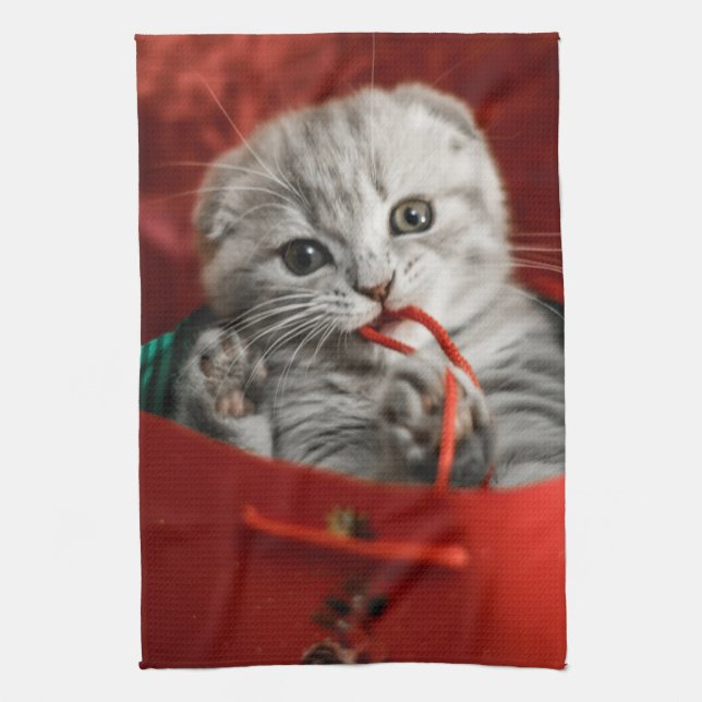 Cutest Baby djur | Scottish Fold Kitten Kökshandduk (Vertikal)