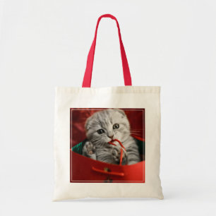 Cutest Baby djur Scottish Fold Kitten Tygkasse