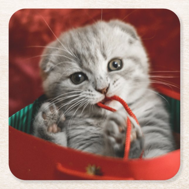 Cutest Baby djur | Scottish Fold Kitten Underlägg Papper Kvadrat (Framsidan)