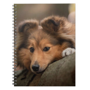 Cutest Baby djur   Shetland Sheepdog Puppy Anteckningsbok