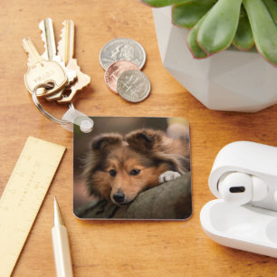 Cutest Baby djur Shetland Sheepdog Puppy Nyckelring