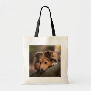 Cutest Baby djur Shetland Sheepdog Puppy Tygkasse