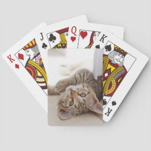 Cutest Baby djur Shorthair Tabby Kitten Casinokort