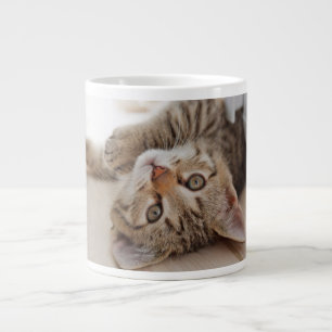 Cutest Baby djur   Shorthair Tabby Kitten Jumbo Mugg
