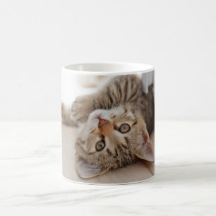Cutest Baby djur Shorthair Tabby Kitten Kaffemugg