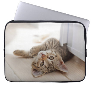 Cutest Baby djur   Shorthair Tabby Kitten Laptop Fodral