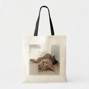 Cutest Baby djur Shorthair Tabby Kitten Tygkasse