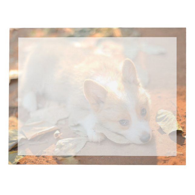 Cutest Baby djur | Shy Corgi Anteckningsblock (Framsida)